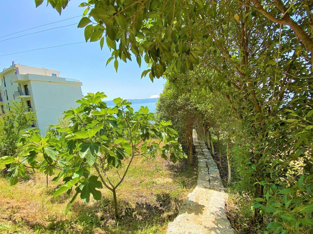 Ramo'S Cozy Beachside Haven With Panoramic Views - 2Nd Vlora Kültér fotó